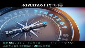 戦略12