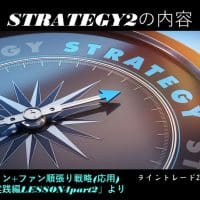 strategy2
