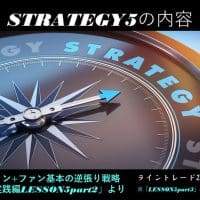 strategy5