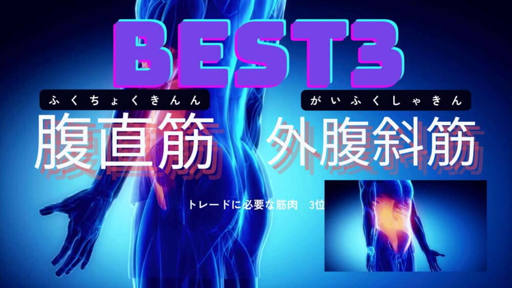 トレーダーに必要な筋肉BEST3は腹直筋