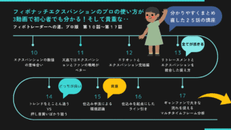 エクスパンション ギャンファン 仕込み編